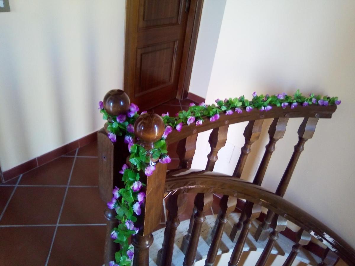 Butterfly Trabia
